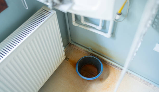 Best Water damage restoration near me  in Cross Plains, WI